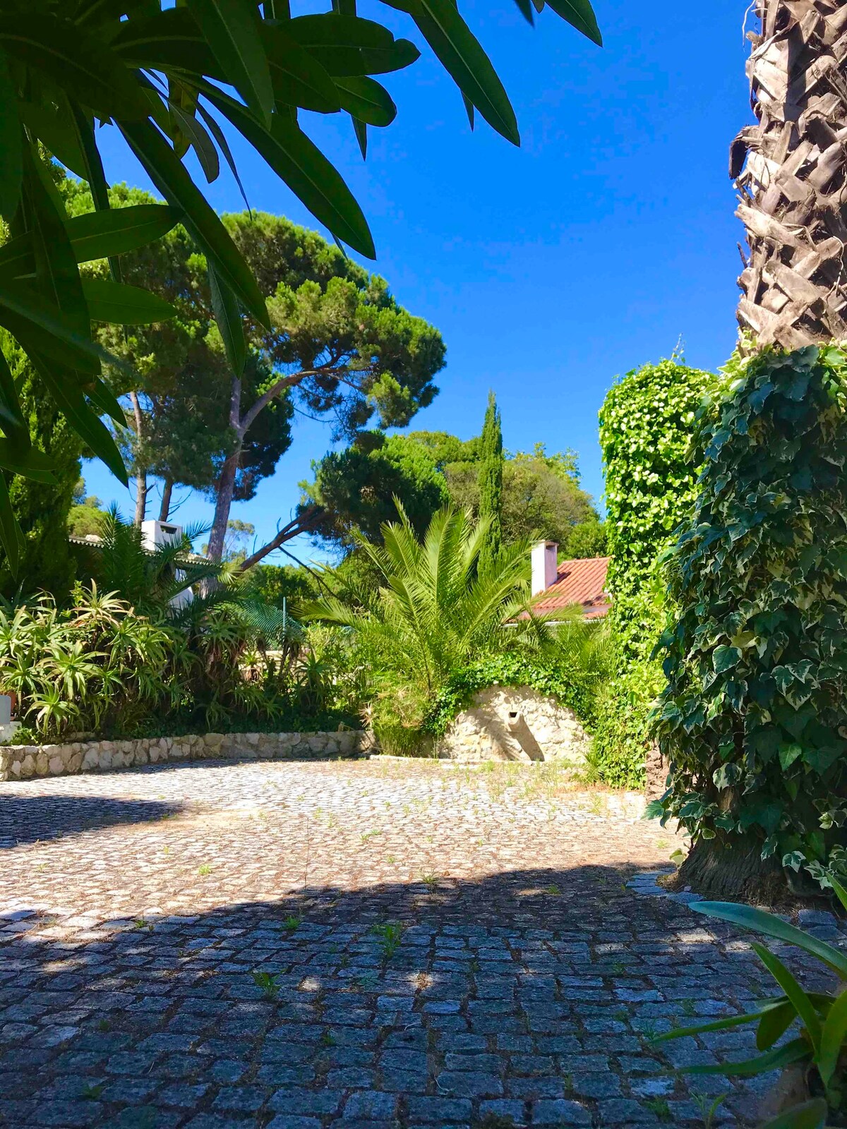 Casa dos cedros - Campo, Praia e Cidade