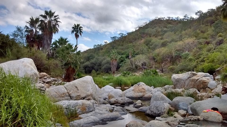 A Wanderers Place in old San Jose