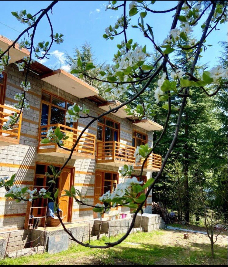 Beautiful room with shared kitchen amidst Nature