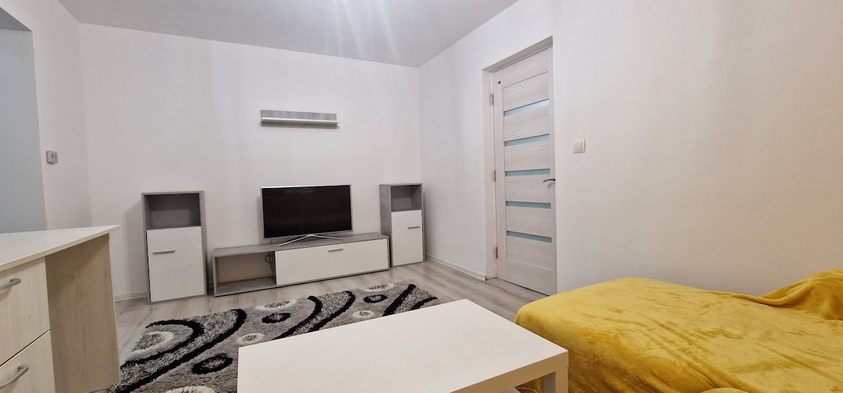 Apartament 2 camere mobilat.