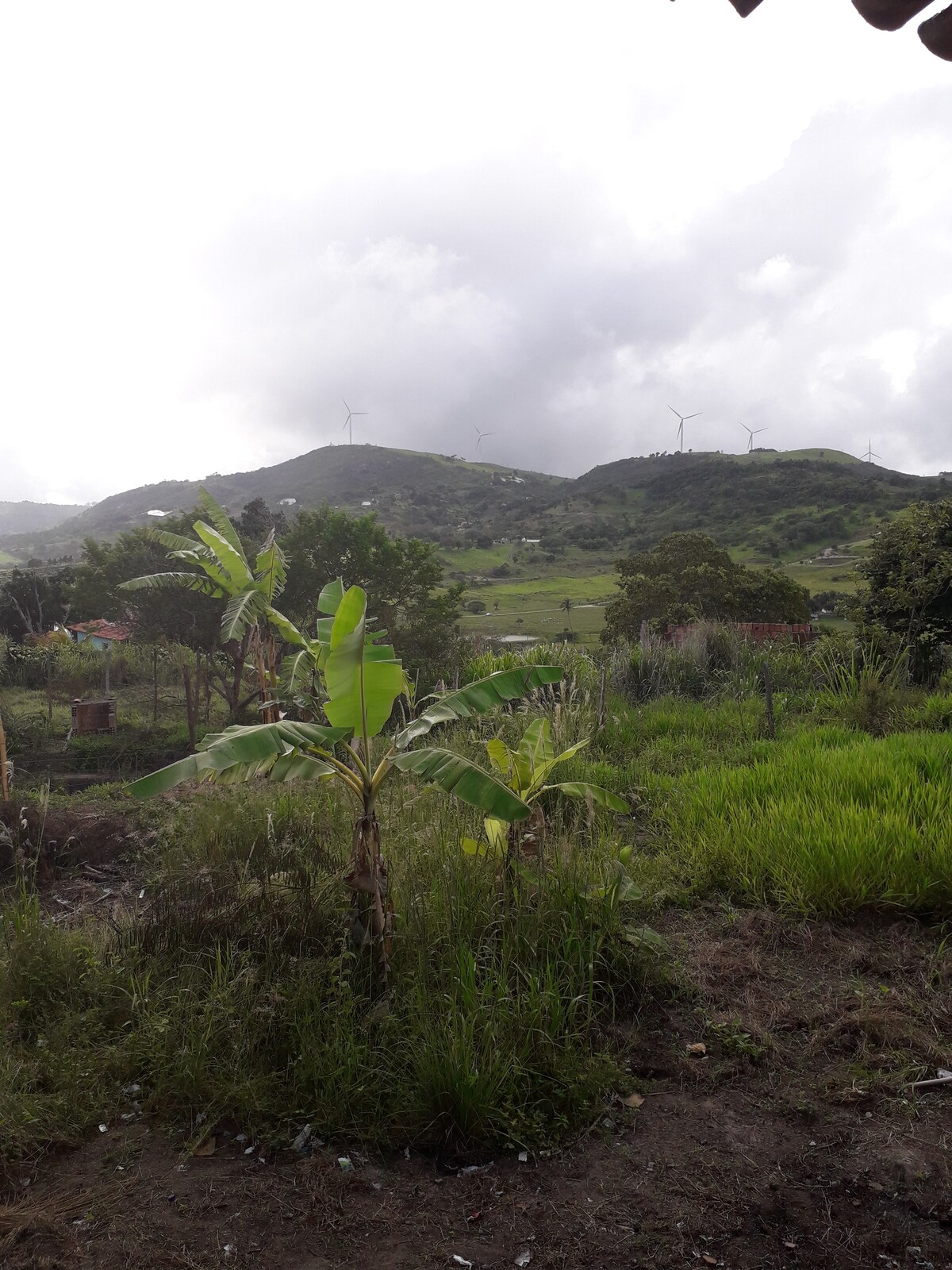 Lugar de paz.ol