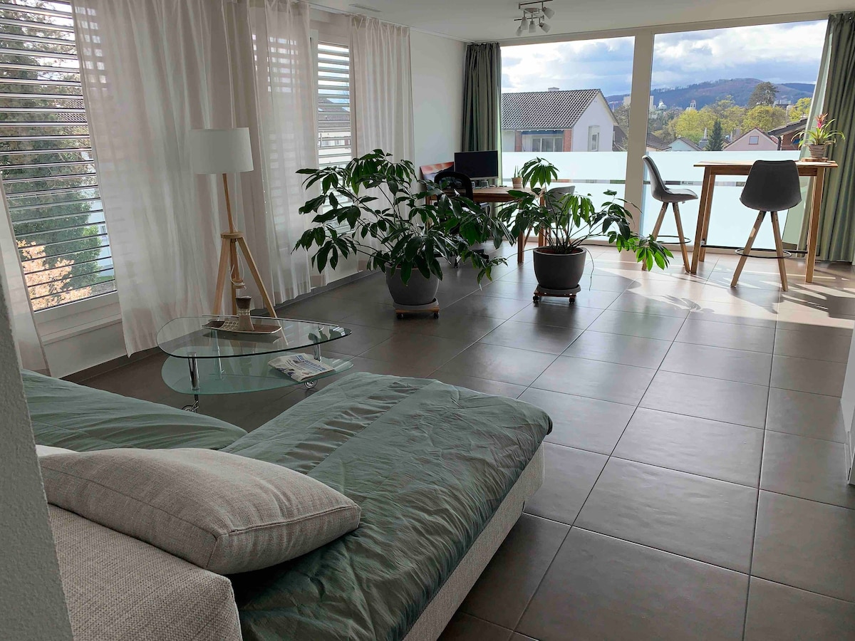 Modern apartment in Rheinfelden Schweiz