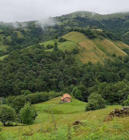 坎塔布里亚（Cantabria）的民宿