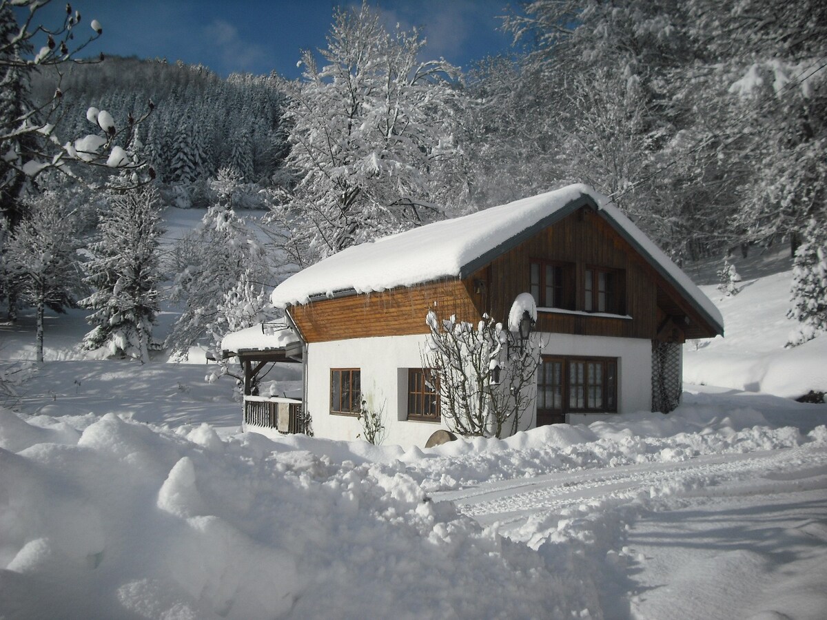 Nice little Chalet Vosgian Moutains