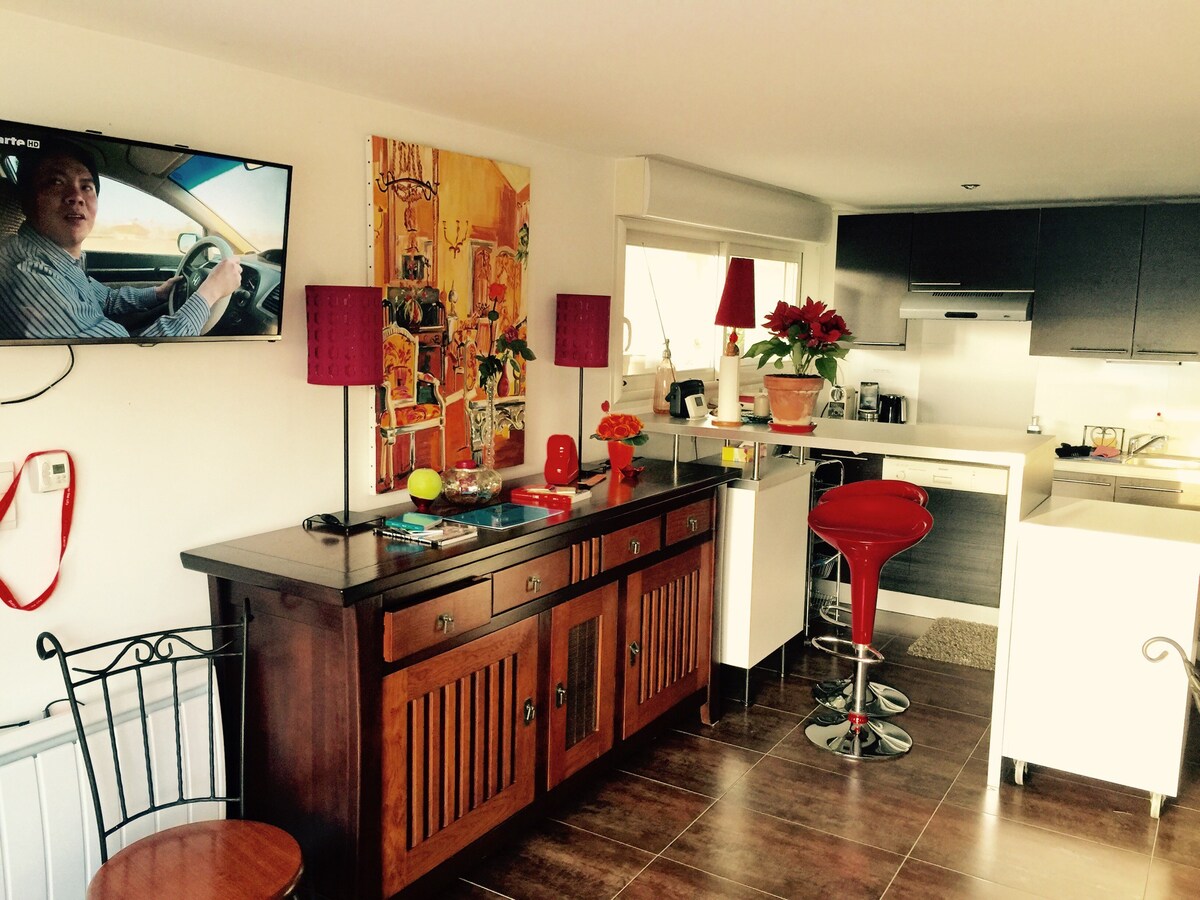 Appartment to rent near Toulouse