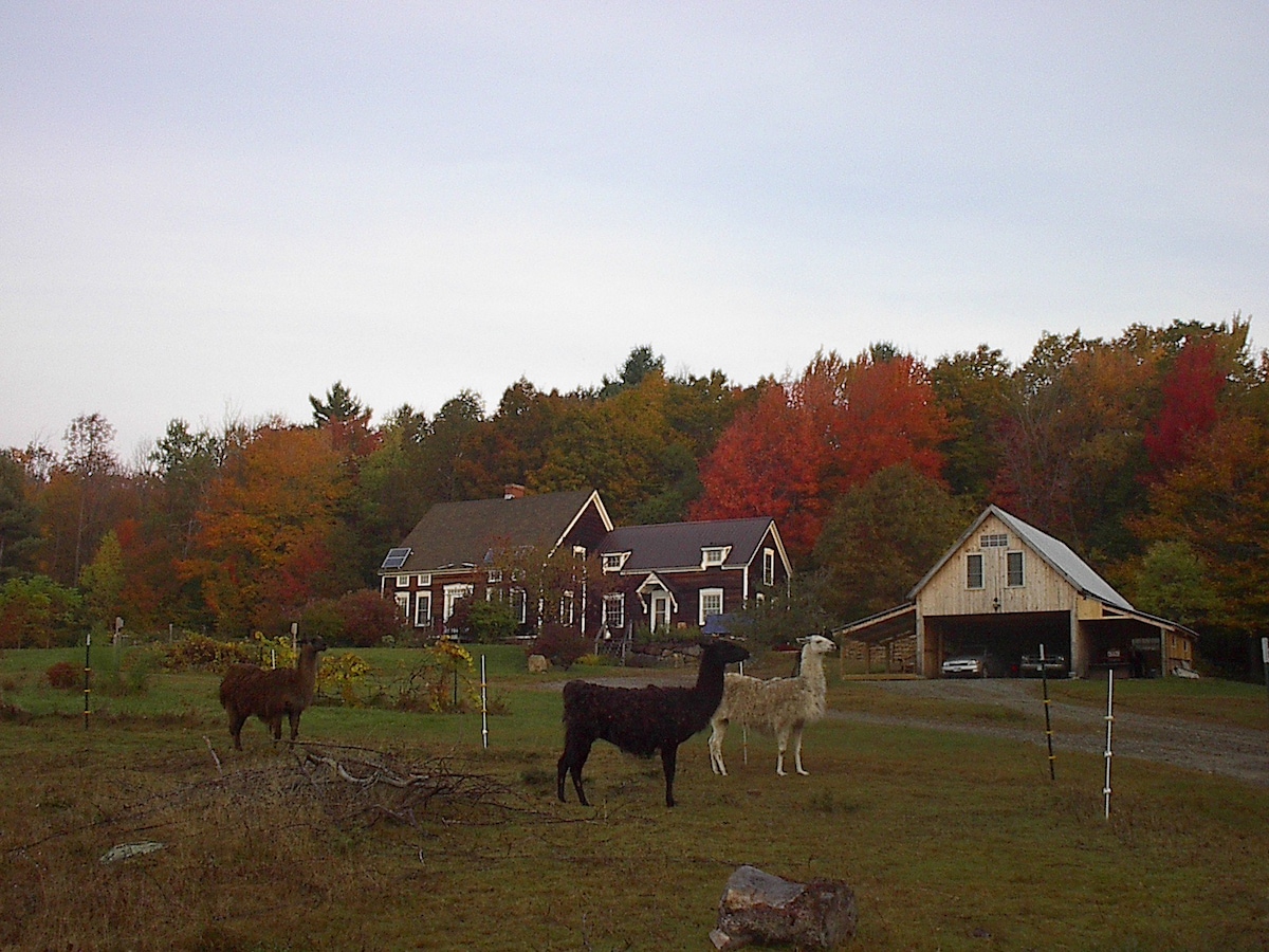 Upton Farm and Forest