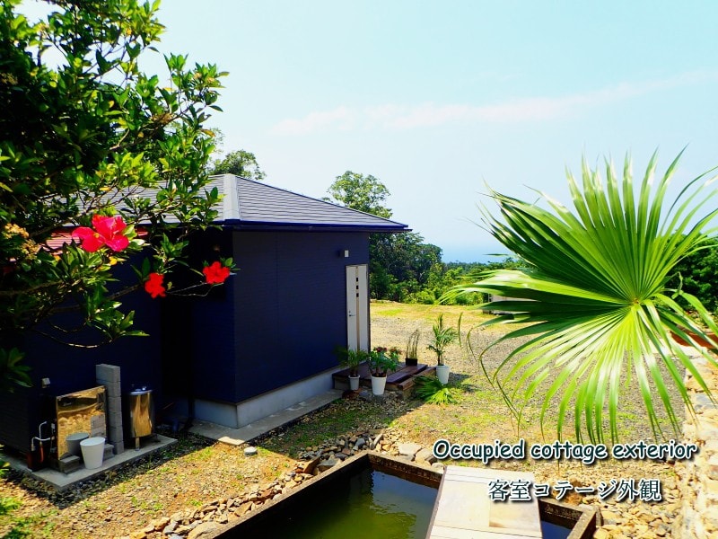 木岛小屋（ Yakushima Cottage ）位于科美森林（ Komai Forest ）内，窗户有天空和大海！