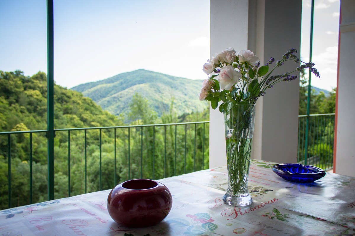 拱门小屋公寓