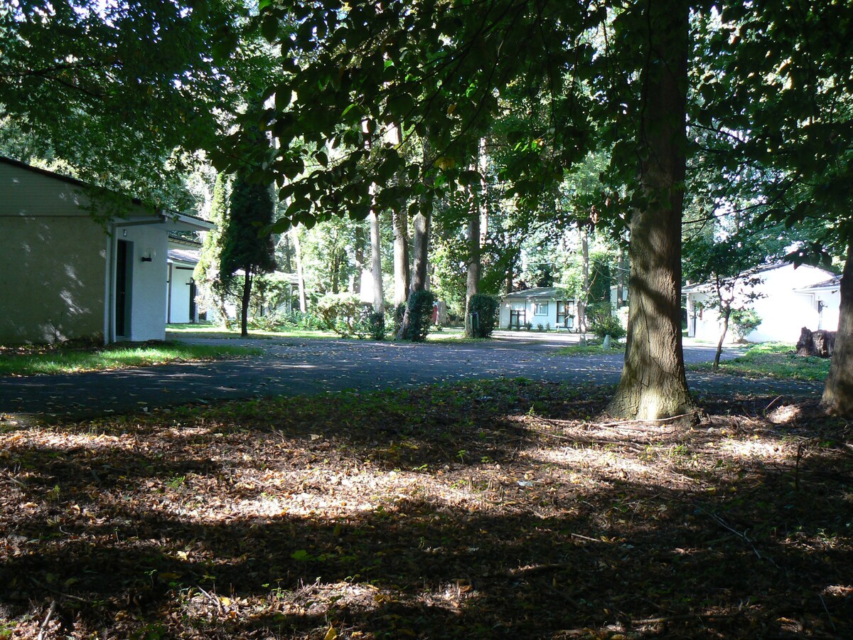 Lodge en Forêt de Château
