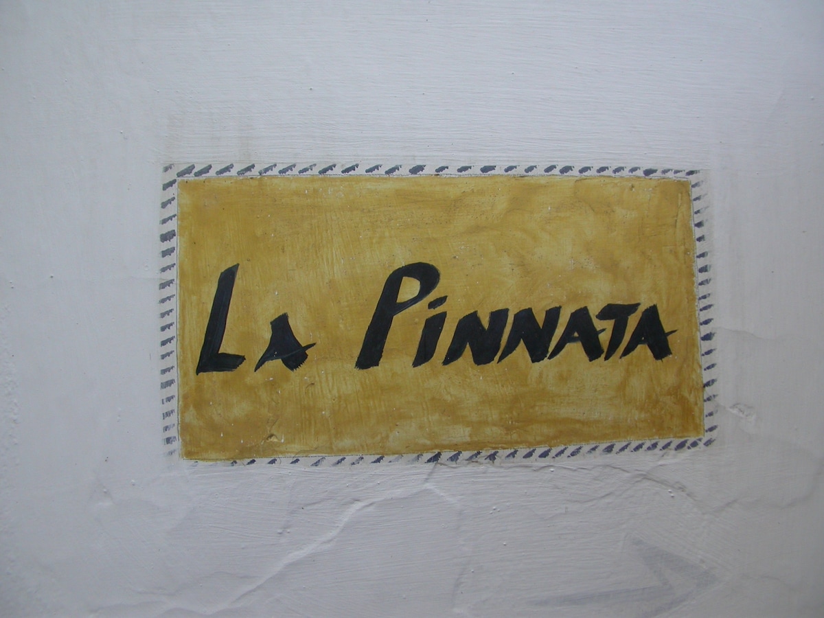 Pinnata of the Casa Warka