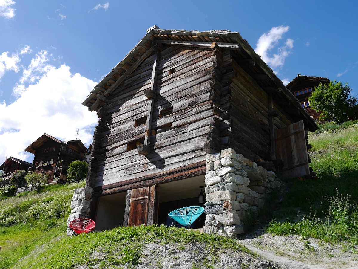 mayen in Etienne, Val d 'Hérens, Valais, Sion Switzerland