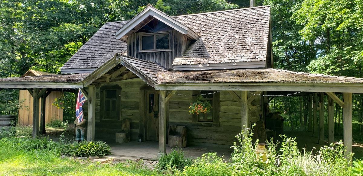 私人森林中的历史悠久的Settler 's Log Cabin