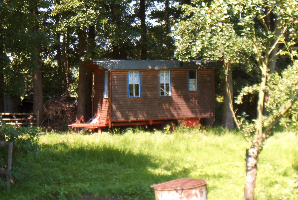 Shepherd 's wagon at Hof Schwarzes Moor