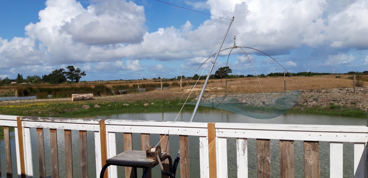 在玛黑区（ Marais Breton Vendéen ）钓鱼