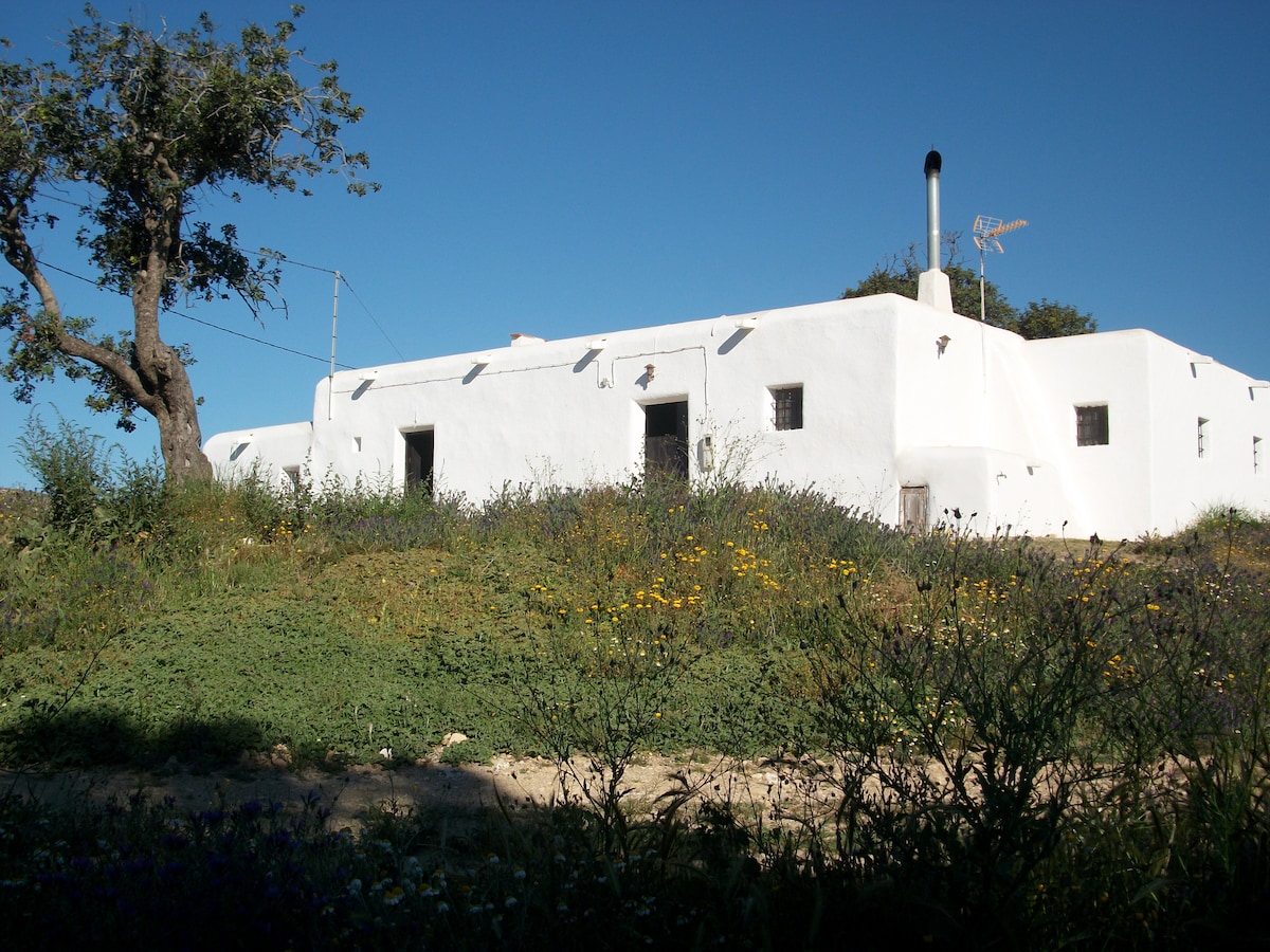 Cortijo y Tradición.