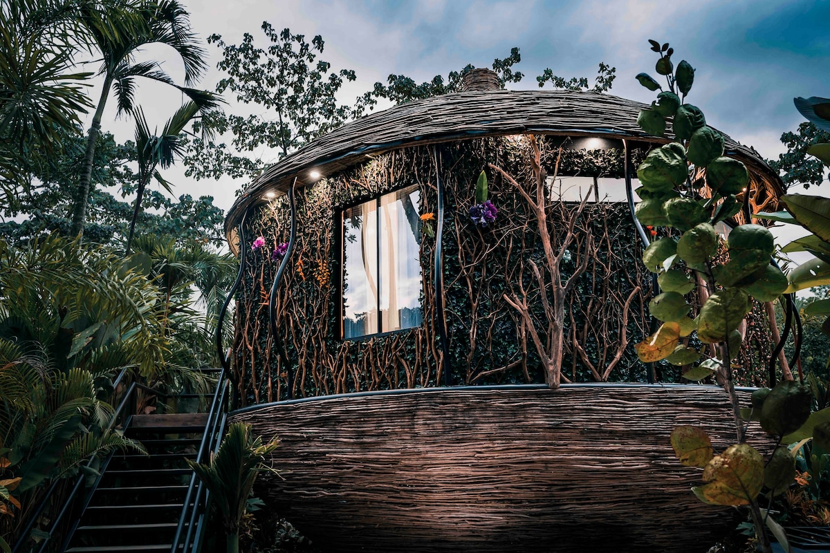 Arenal Nest La Fortuna