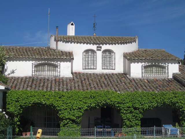 Talavera de la Reina的民宿