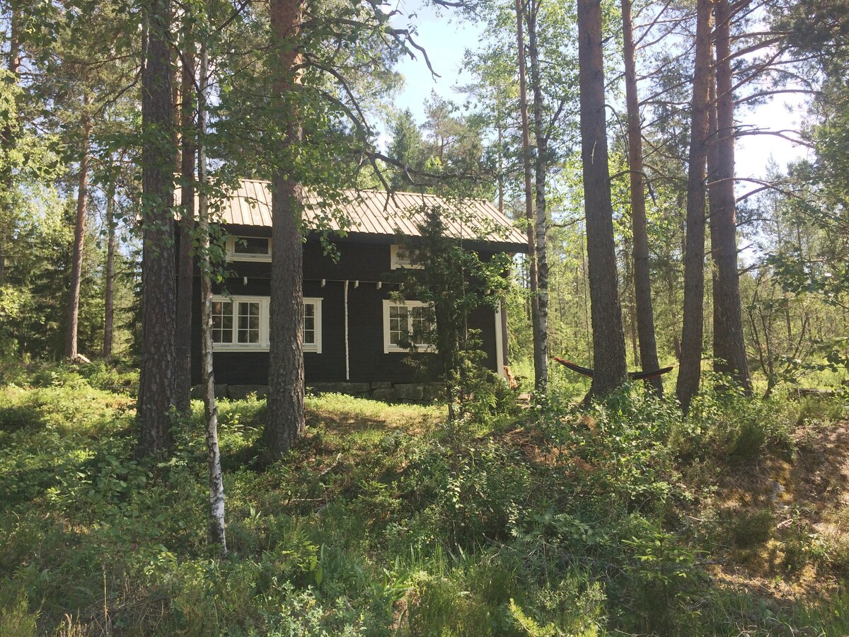 田园诗般的森林小木屋