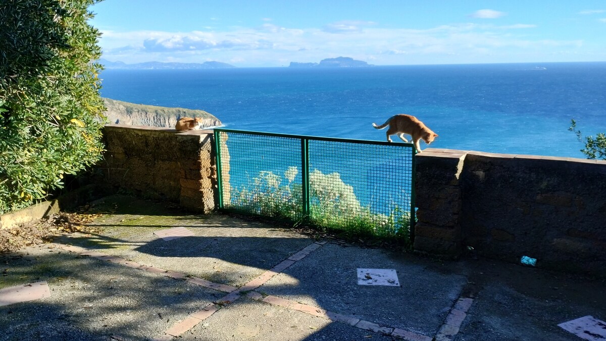 La Casetta di Michele e Zuzzoletta