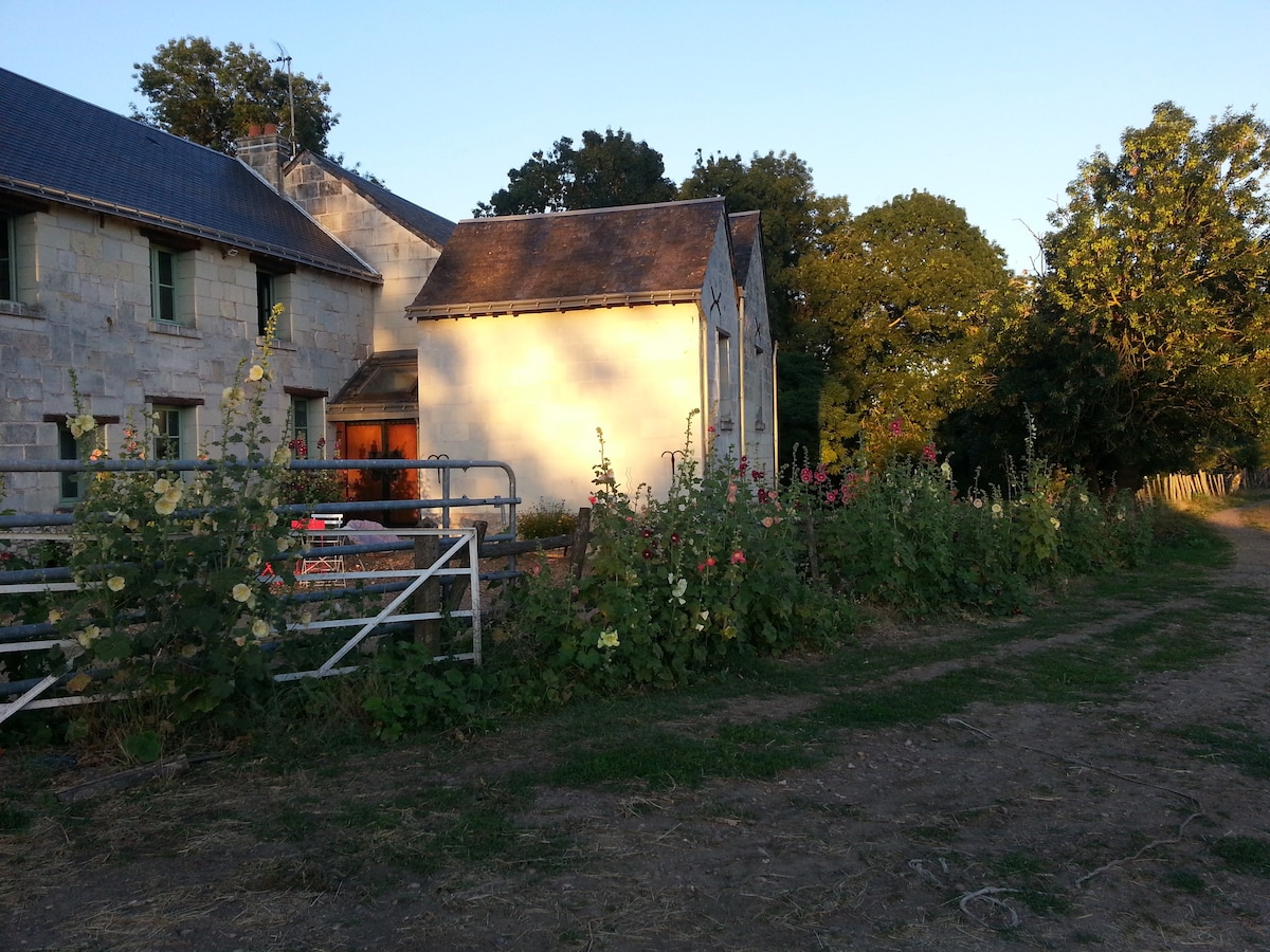 乡村乡村小屋 农场自然景色房