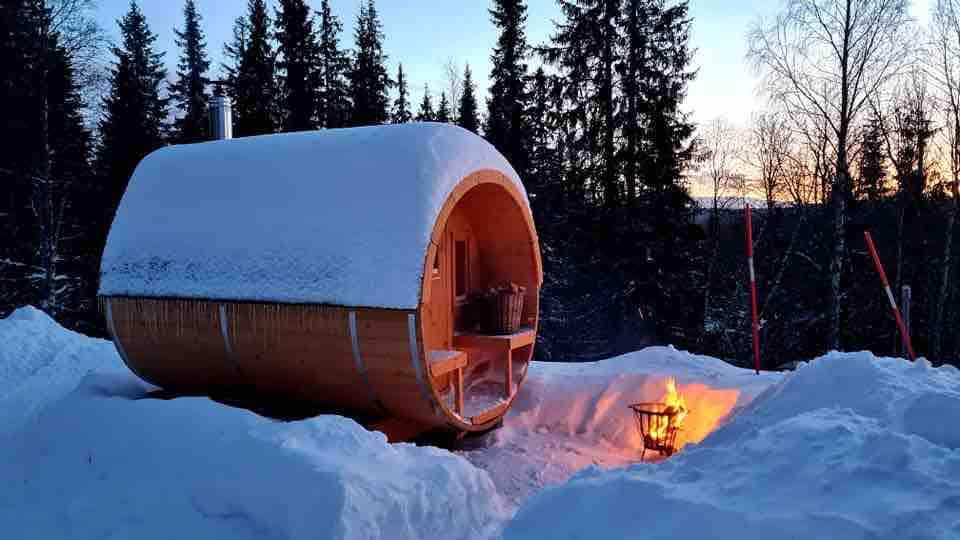 Borgafjäll带桑拿房的舒适山间小屋