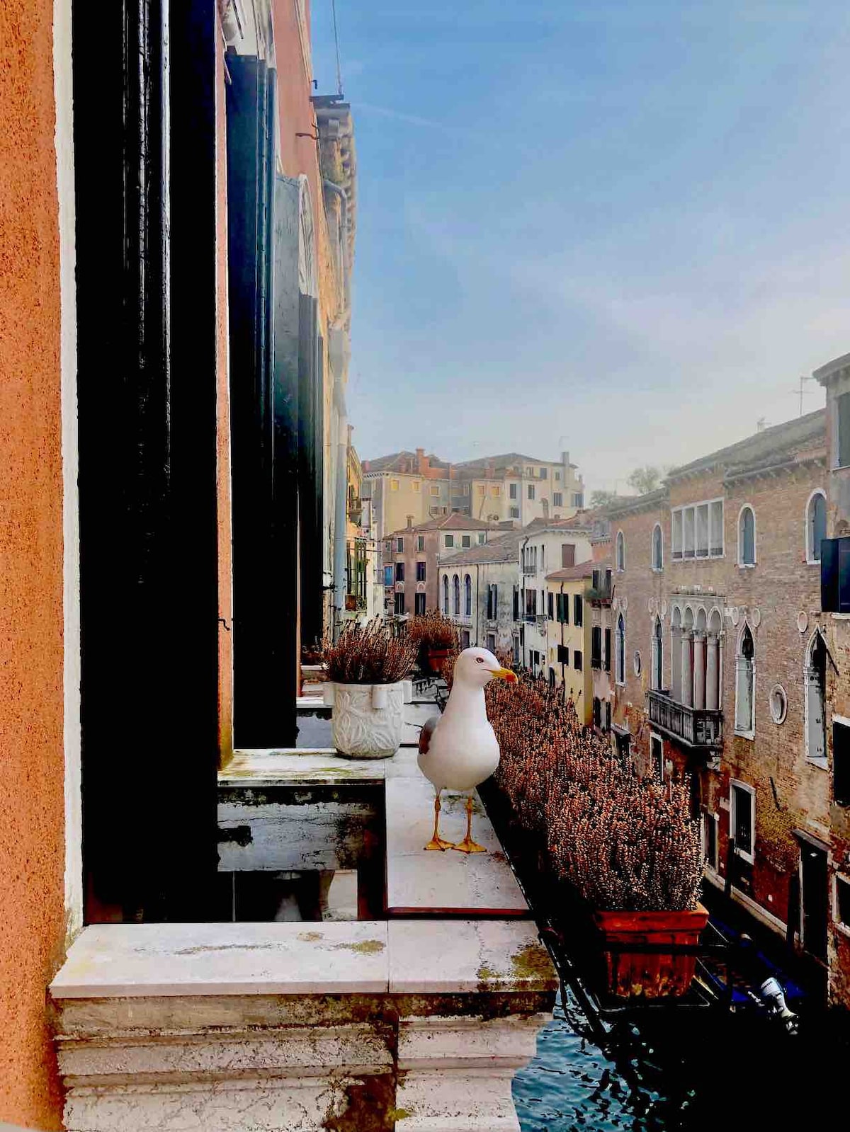 贡多拉景观， Venetian运河梦想！ 4个阳台