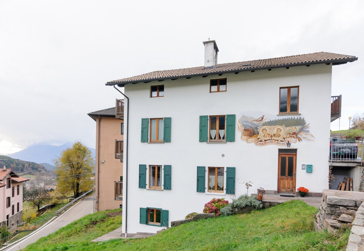 Casa BarbiCanevei GIULIO