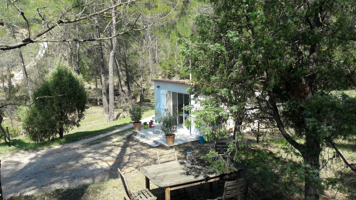 The Cabanon in Provence