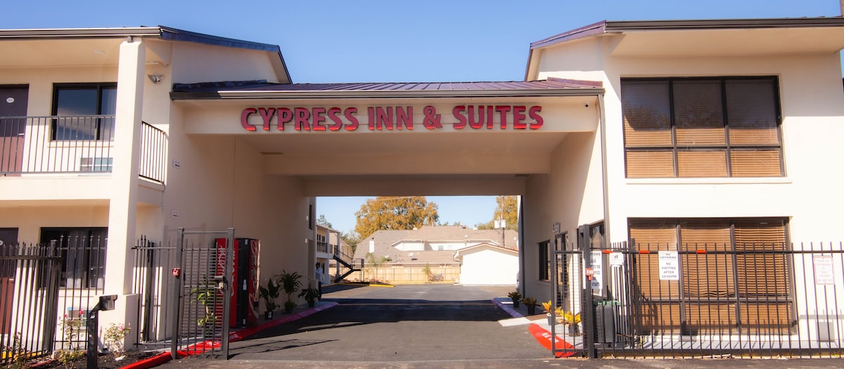 Cypress Inn & Suites -单人房