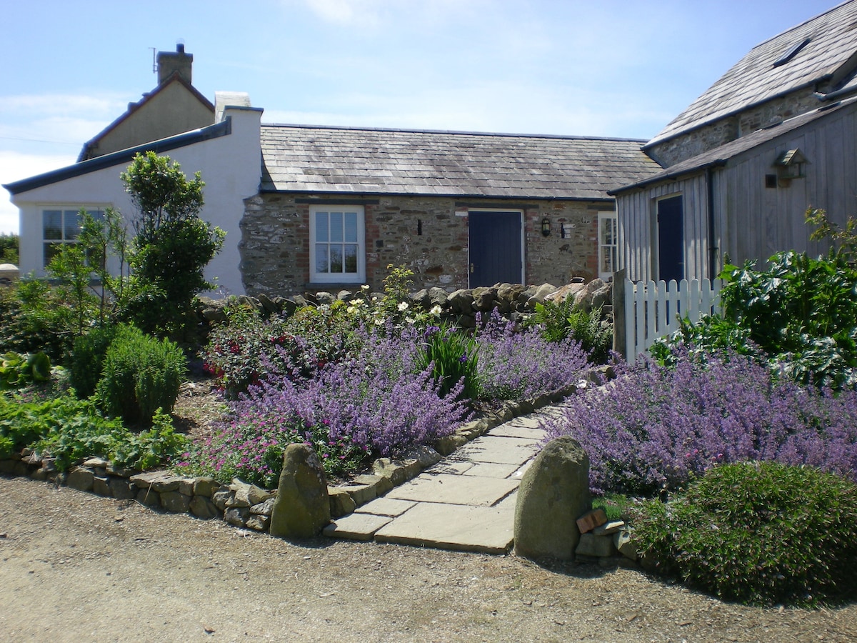 Pretty welsh cottage close to Abereiddy beach