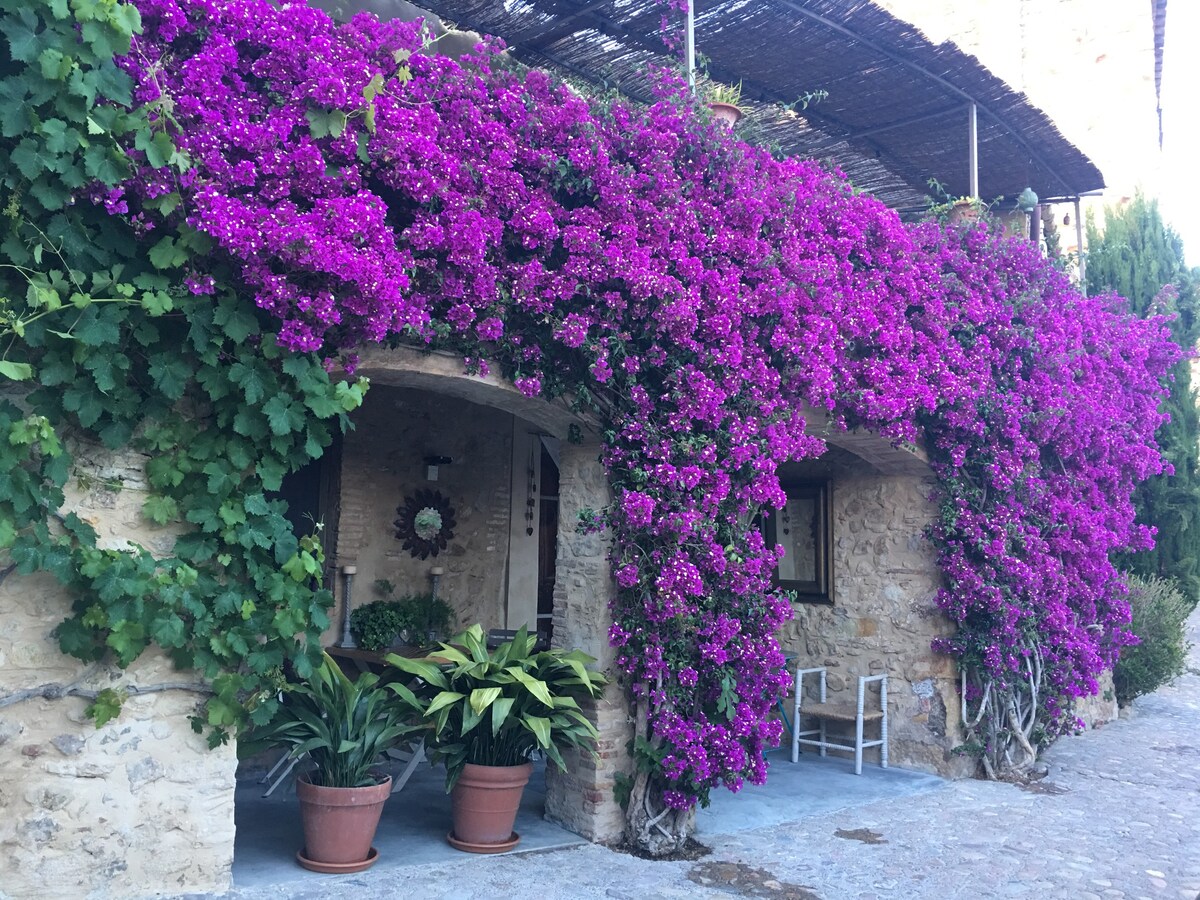 Casa rural Siglo XVIII in Pals - Costa Brava