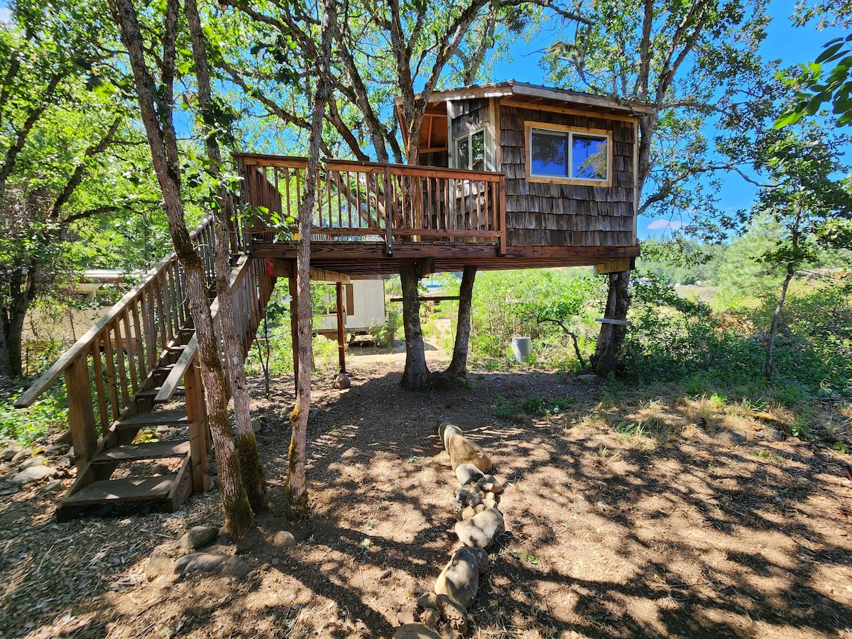 Treehouse, Organic Farm, River