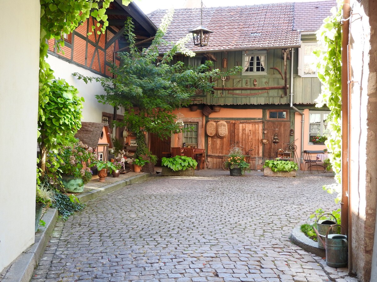 Charming Chambre du Grenier in Kientzheim