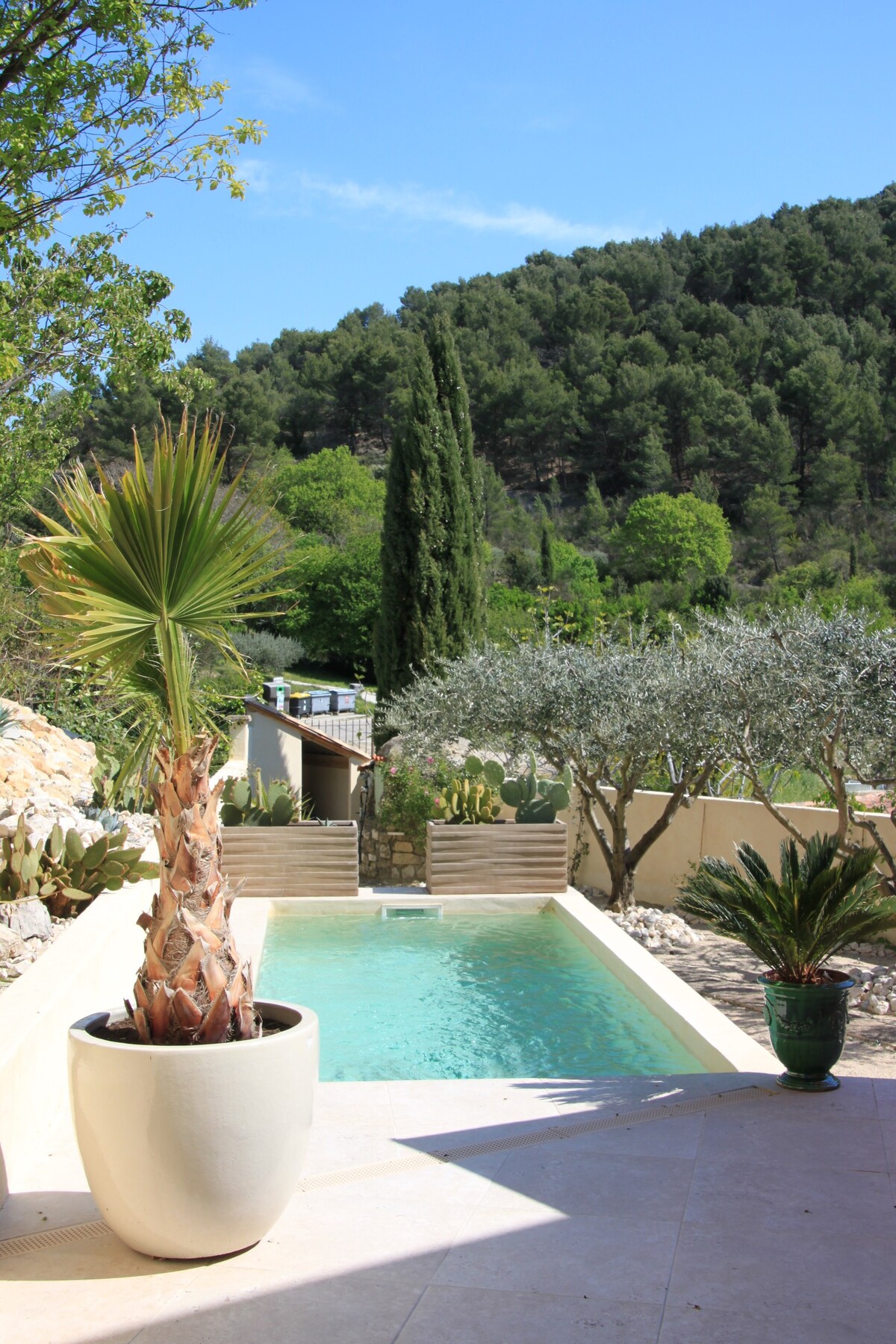 Les Oliviers (Terrasses de la Roque Alric) piscine