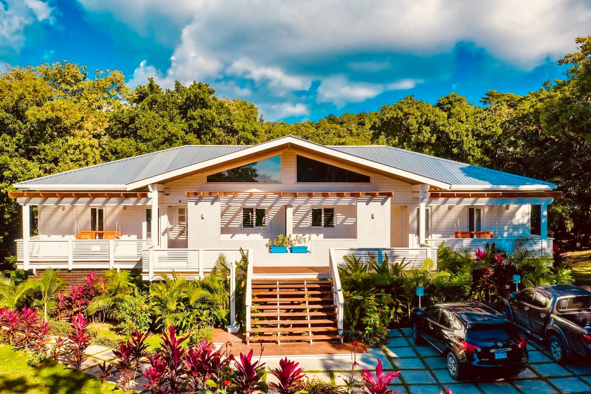 Blue Roatan Island 🏝 Villa Retreat