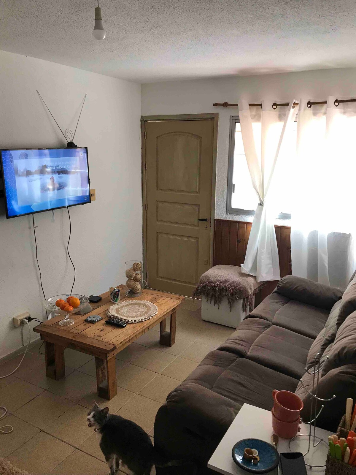 Apartamento 1 dormitorio en malvin