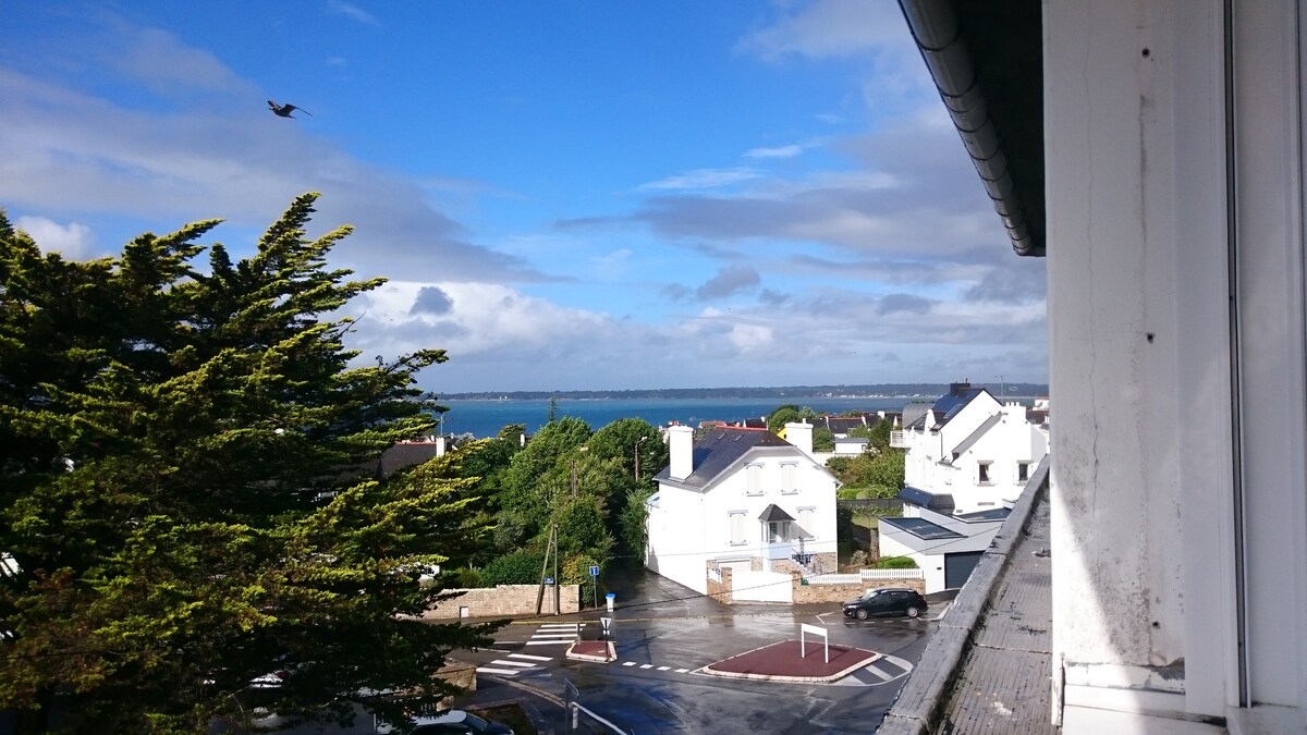 Pleasant T2 Centre Concarneau ，海景和城市景观