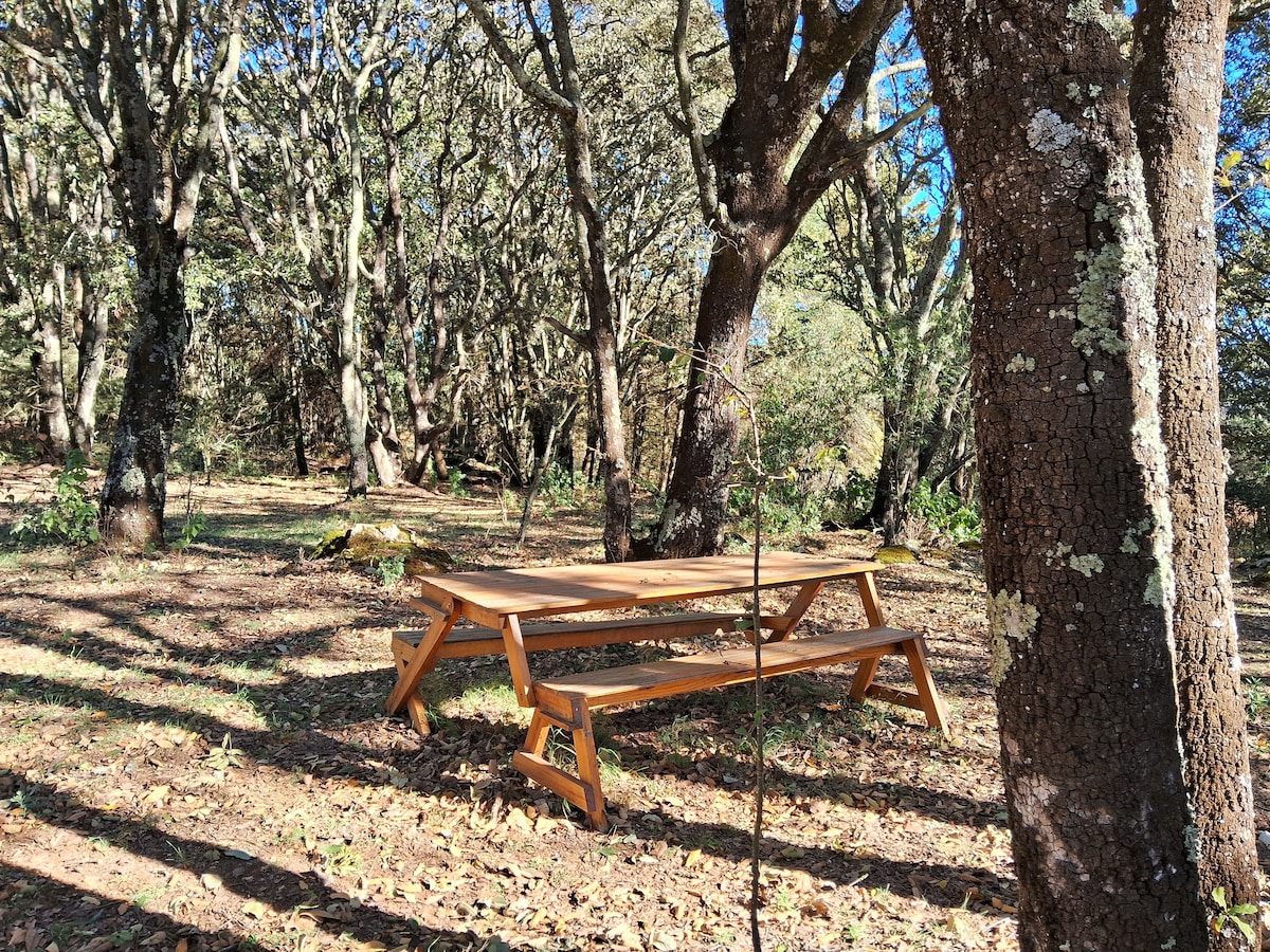 Cabaña de madera #4 en el bosque