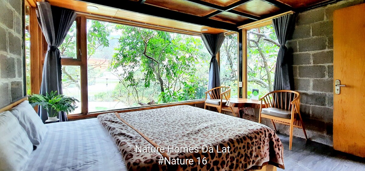 Nature Homes 16个地方「虚拟生活」艺术