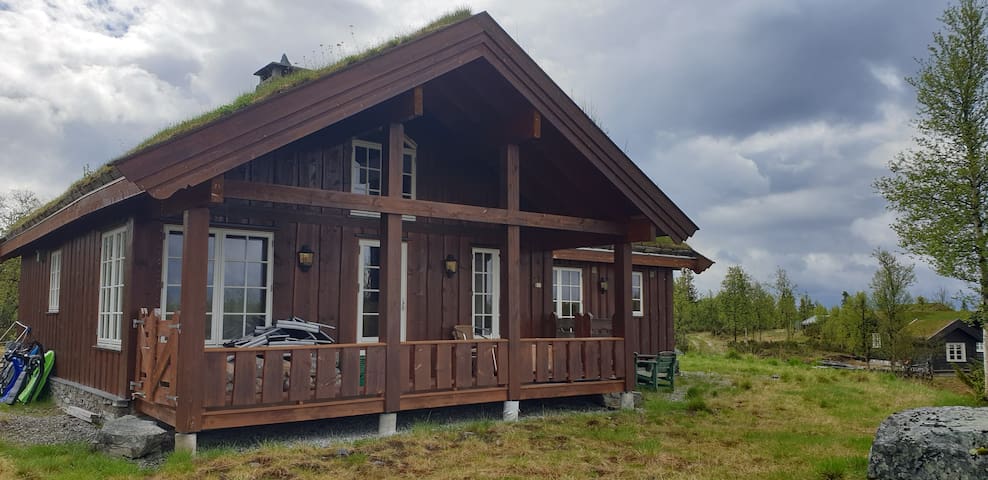 Ål kommune的民宿