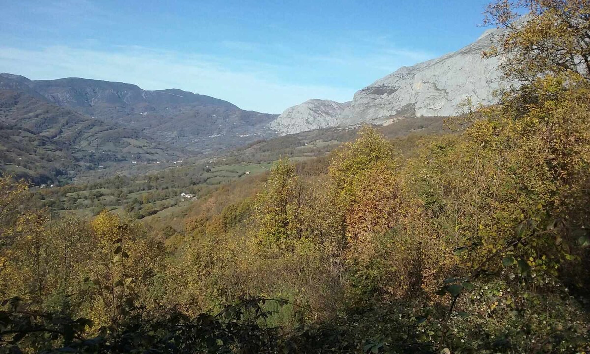 Situado en Vigidel a solo 3. km de San Martín inicio de la Senda del oso