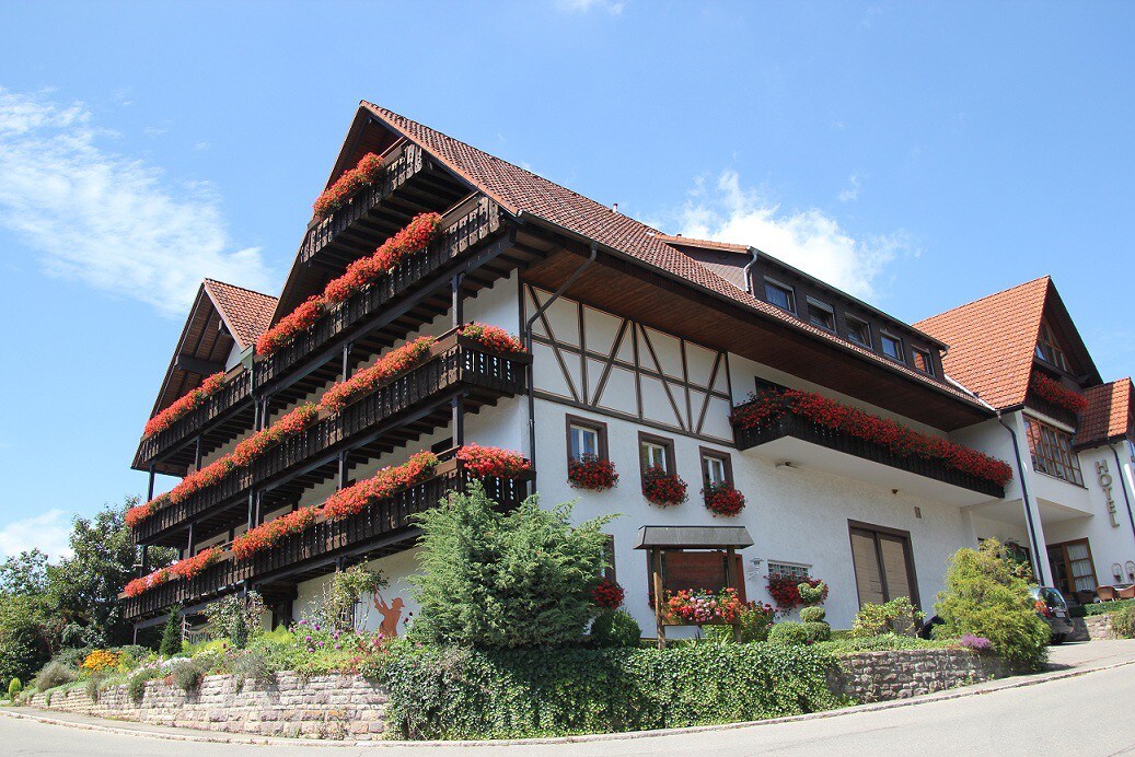 酒店餐厅Waldblick-BSR （ Donaueschingen ） ，单人房，带淋浴间和马桶