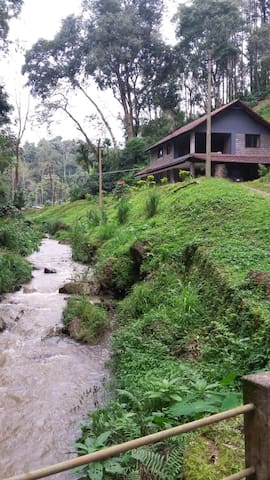 马蒂科里(Madikeri)的民宿