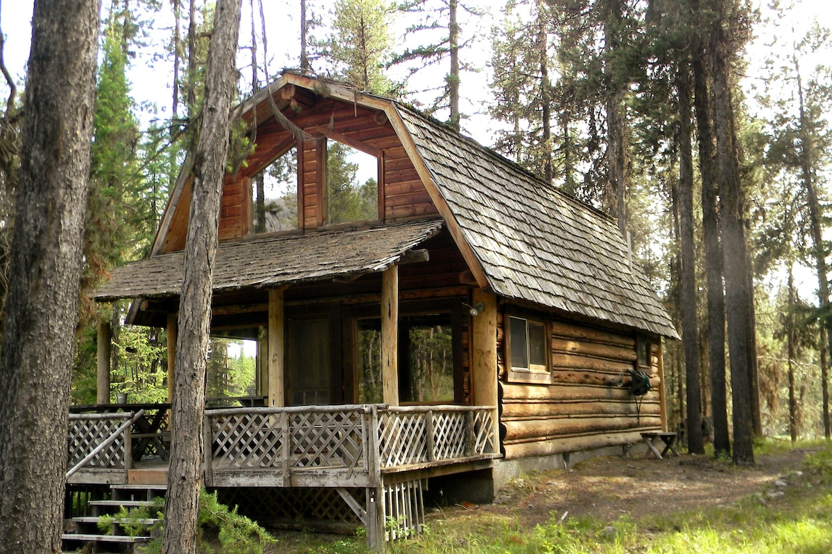 「灰狼」小木屋坐落在松树中。