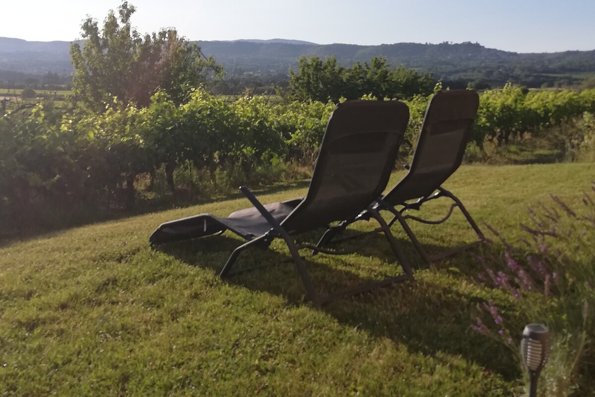 Gîte au milieu des vignes dans le Luberon