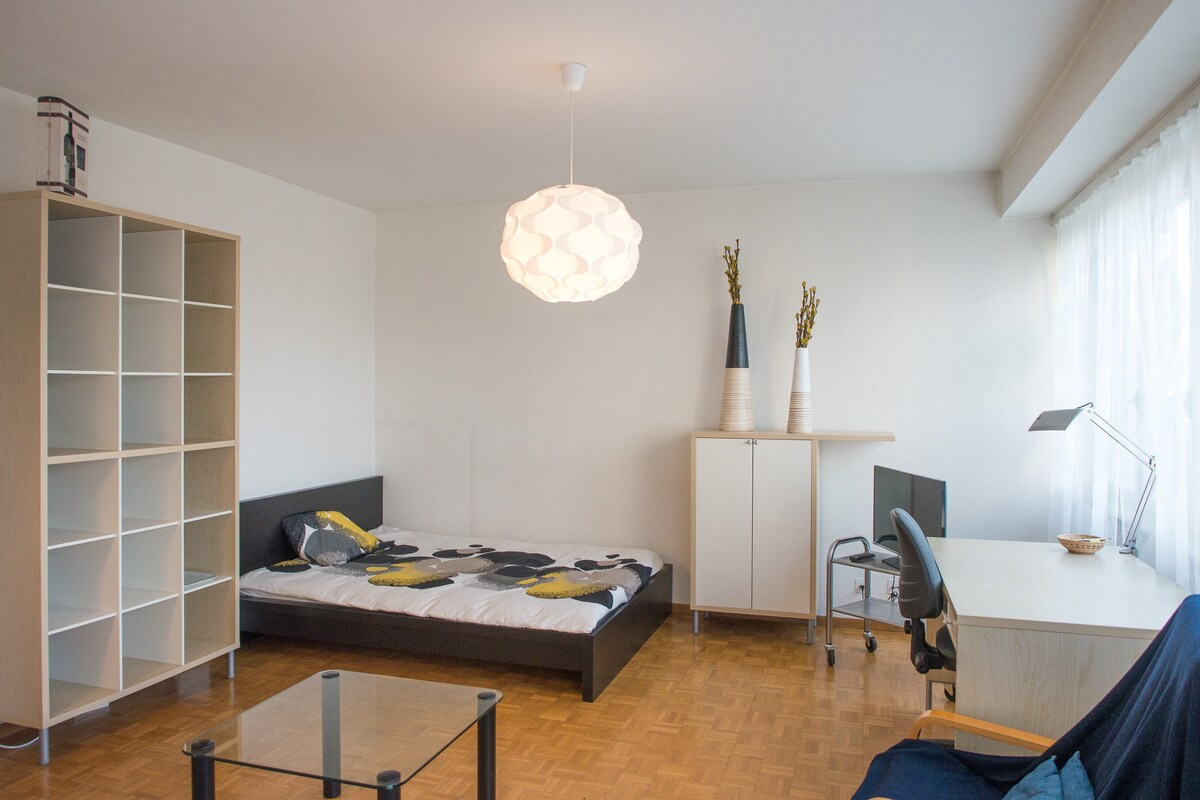 轻便、设备齐全、舒适的公寓GVA