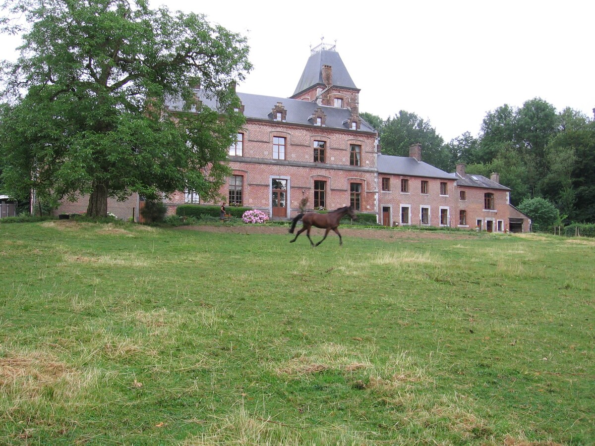 Petit Quartier, Château de Wallay, Ohey