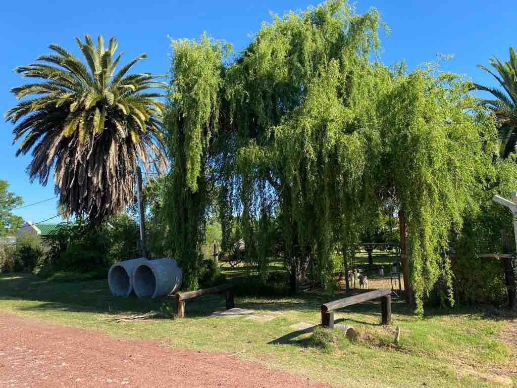 Casa de campo en villa soriano " Sueños"