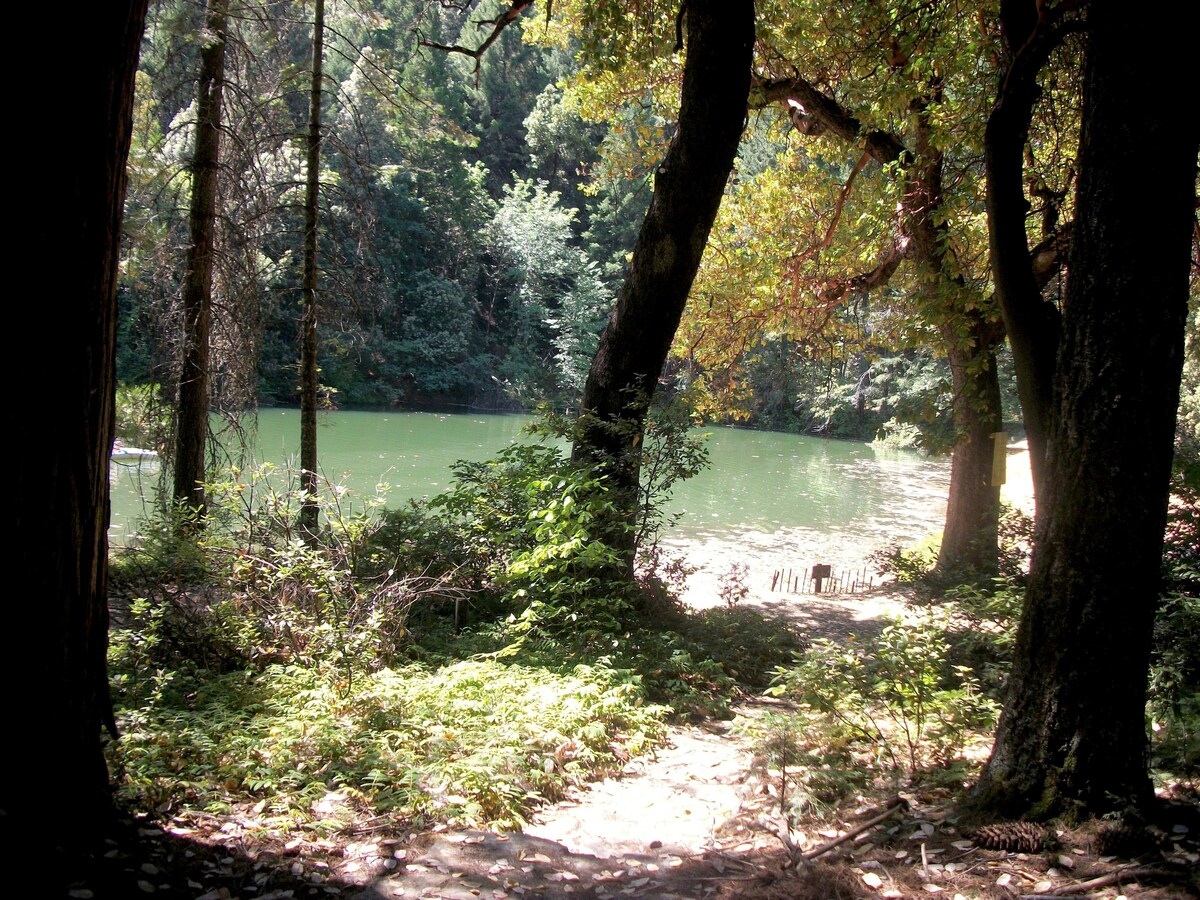 拉古尼塔湖畔别墅坐落在小湖畔，欣赏美景！