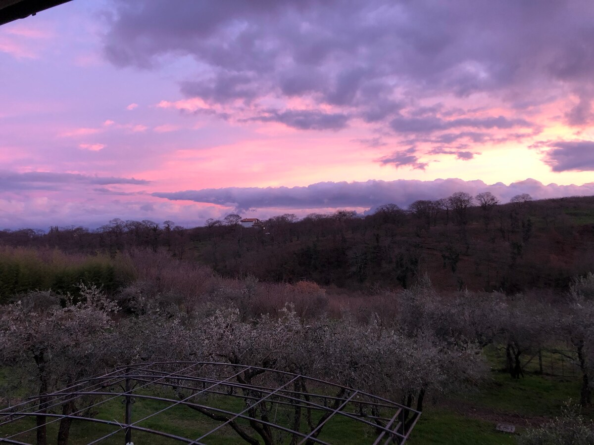 "Sorianina Cottage" in campagna vicino a Roma